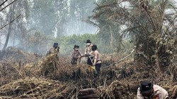 Pelaku Karhutla di Inhil Ditangkap Polisi, Ngaku Niat Usir Tawon