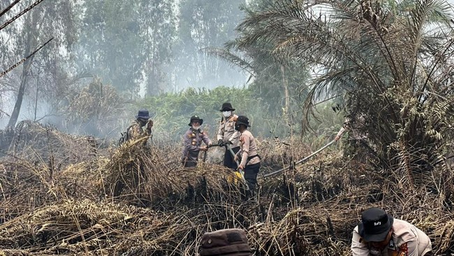 Pelaku Karhutla di Inhil Ditangkap Polisi, Ngaku Niat Usir Tawon