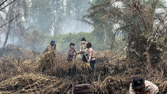 Petugas melakukan pemadaman karhutla 37 hektare lahan di Siak, Riau
