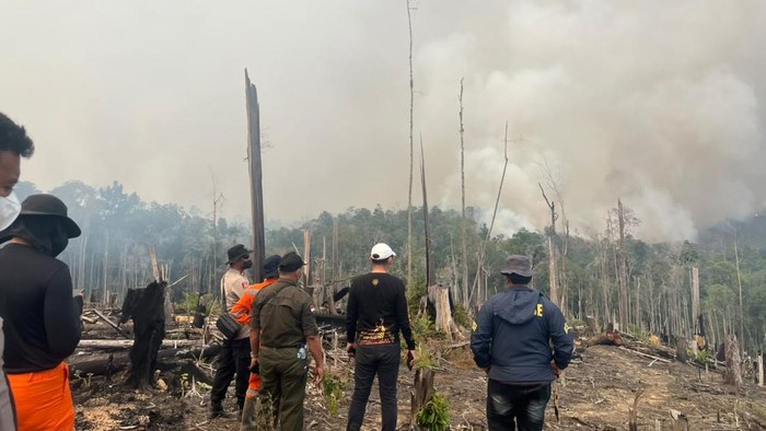 Polisi mengecek lokasi karhutla Berau yang viral di medsos karena ditemukan tanaman sawit.