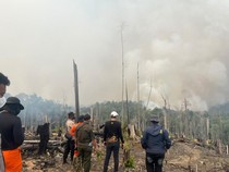 Geger Sawit Ditanam di Bekas Karhutla Berau, Polisi Periksa Pembuat Video