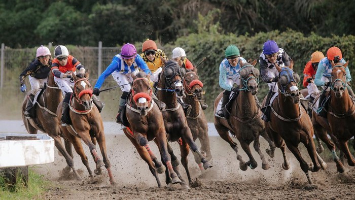 Pacuan kuda Indonesia mulai diarahkan menuju panggung dunia melalui Indonesias Horse Racing (IHR) 2026 yang dikembangkan Sarga.co dengan konsep olahraga, hiburan, pariwisata, dan ekonomi kreatif.