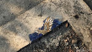 Kesal Lihat Jalan Berlubang, Perajin di Malang Sulapnya Jadi Karya Seni