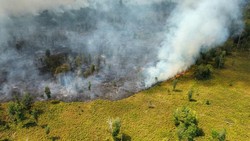 Video Relawan yang Tangani Karhutla di TN Tanjung Puting Mundur, Kenapa?