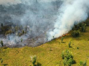 Relawan Karhutla Menyerah, Minta Bantuan Water Bombing di Tanjung Puting