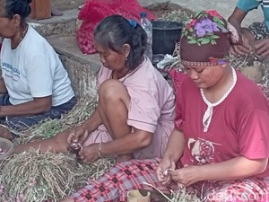 Berkah Para Pekerja Pritil Bawang Merah di Nganjuk saat Panen Raya
