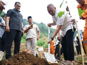 Andre Rosiade, Pemko Padang-Galapagos Tanam 60 Ribu Bibit Pohon