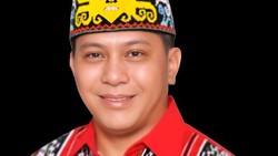 Anggota DPD: Sebelum Sawit Masif, Tak Pernah Karhutla Sehebat Sekarang