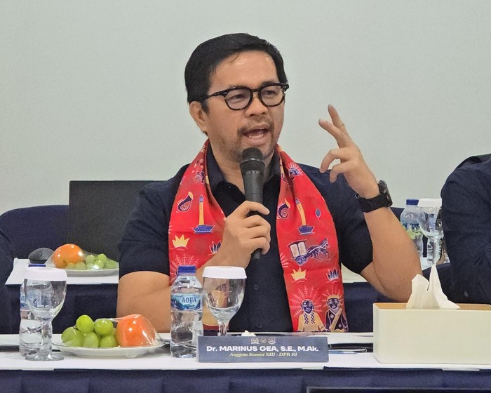 Anggota Komisi XIII DPR RI Marinus Gea