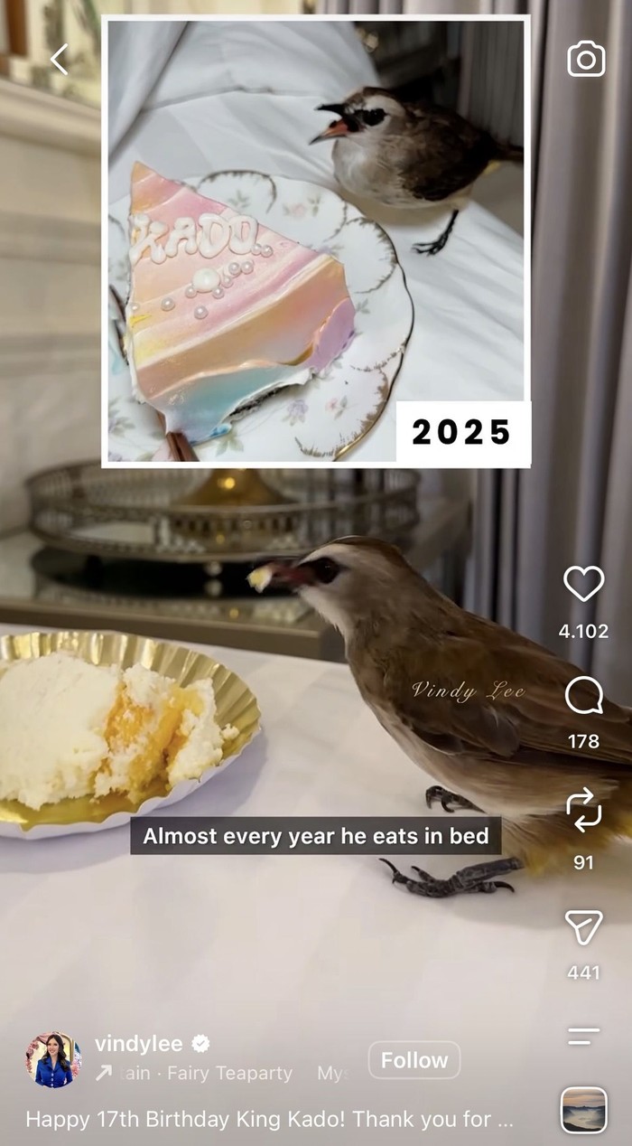 Gemas! Vindy Lee Rayakan Ultah Burungnya ke-17, Siapkan Kue hingga Mie