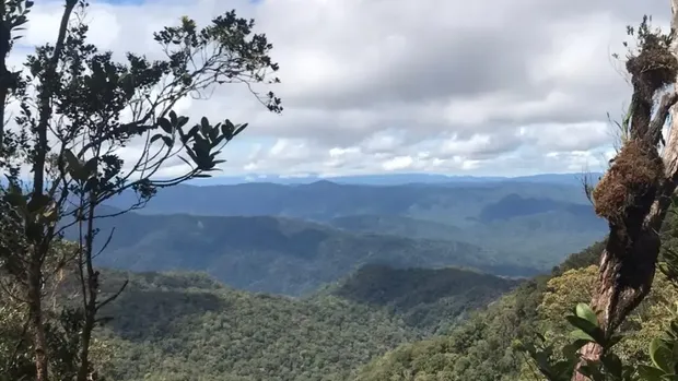 Gunung Harun. (Instagram TN Kayan Mentarang) Gunung Harun. (Instagram TN Kayan Mentarang)