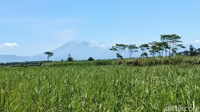 Gunung Semeru erupsi