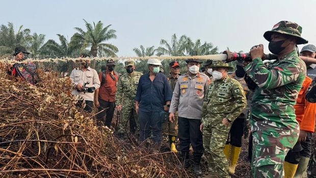 Kapolda Riau dan Pangdam XIX/Tuanku Tambusai turun meninjau karhutla 70 hektare lahan gambut di Inhu, Rabu (9/9/2026).