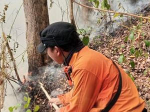 Api di Gunung Ciremai Belum Padam Total, Petugas Siaga hingga Malam