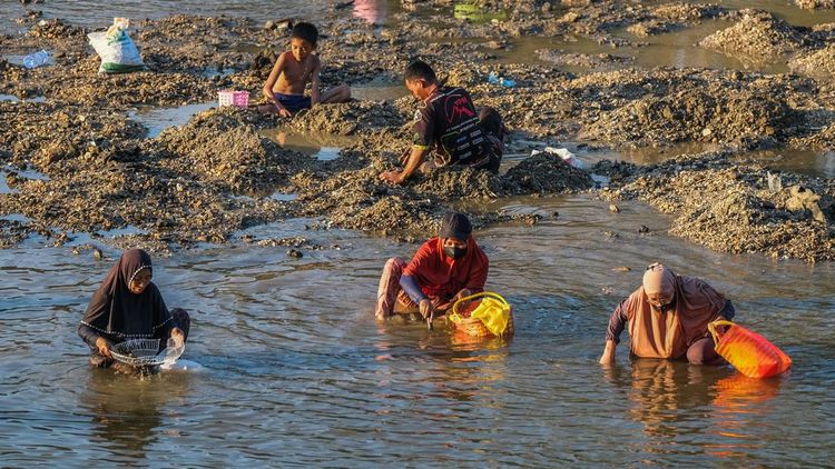 Kemarau Bikin Sungai Surut, Warga Konawe Berburu Pokea