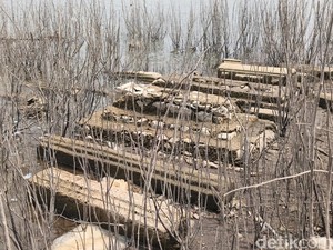 Legenda Eyang Raden Santri yang Makamnya Muncul Saat Waduk Gajah Mungkur Surut