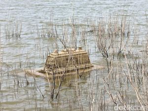 Makam Kuno Muncul Saat Waduk Gajah Mungkur Surut, Ternyata Ini Sosoknya