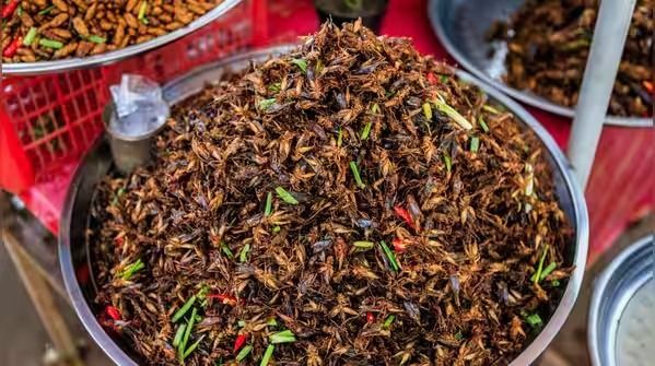 Makanan Aneh di dunia Makanan Aneh di dunia
