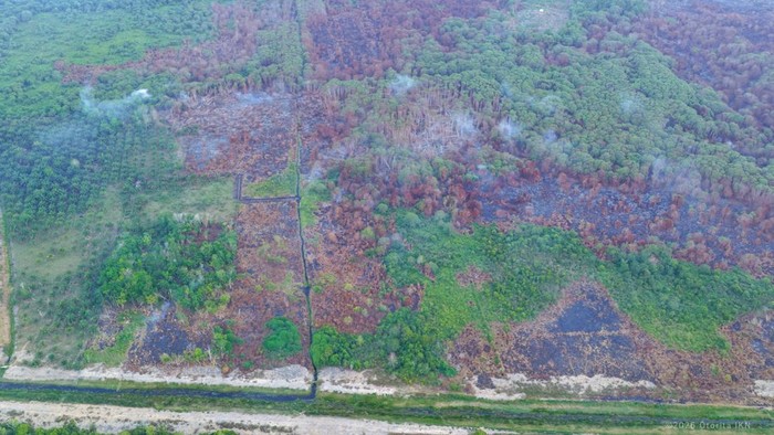 Otorita IKN Buka Suara soal Karhutla: Jarak Terdekat dengan Kawasan Inti 30 Km