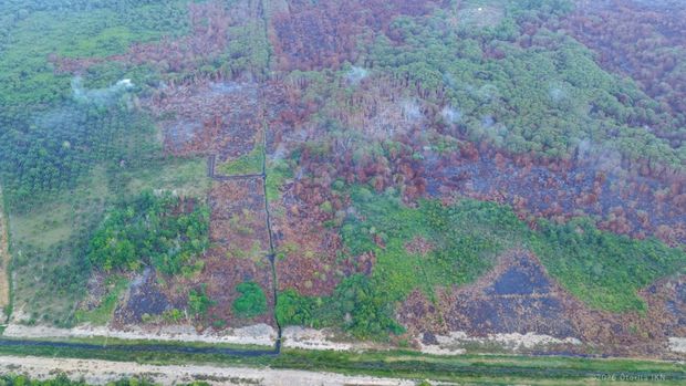 Otorita IKN Buka Suara soal Karhutla: Jarak Terdekat dengan Kawasan Inti 30 Km Otorita IKN Buka Suara soal Karhutla: Jarak Terdekat dengan Kawasan Inti 30 Km