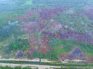 Sudah Padam, Karhutla di Tol Balsam dan Bukit Tengkorak Tersisa Asap