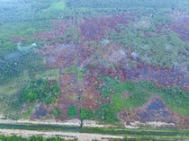 Sudah Padam, Karhutla di Tol Balsam dan Bukit Tengkorak Tersisa Asap