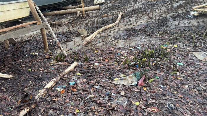 Lokasi yang diduga menjadi tempat penebangan sekitar 200 batang mangrove di Desa Piabung, Kecamatan Palmatak, Kabupaten Kepulauan Anambas