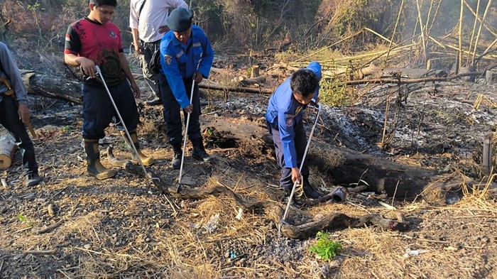 Petugas damkar saat mengevakuasi ular piton 4 meter yang terbakar.