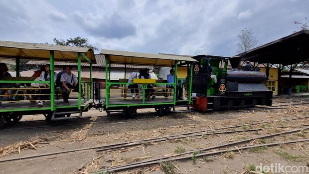 Serunya naik lori sambil melihat proses produksi gula di Agrowisata Madukismo Bantul.