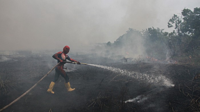 Petugas berkostum spiderman berupaya memadamkan kebakaran lahan di Kelurahan Kereng Bangkirai, Palangka Raya, Kalimantan Tengah, Rabu (9/9/2026). Pemerintah Kota Palangka Raya memperpanjang status tanggap darurat kebakaran hutan dan lahan (karhutla) serta kekeringan selama 30 hari mulai 9 September hingga 8 Oktober 2026 karena masih tingginya kejadian karhutla di wilayah tersebut. ANTARA FOTO/Auliya Rahman/YU