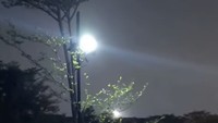 Selang beberapa hari, lampu solar panel juga dipasang di pohon Rano Karno, di samping Makam Vidi. Ayah Vidi senang karena makam lainnya ikut terang saat malam. Foto: Instagram @v8harrykiss