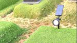 Duh! Lampu Solar Panel di Makam Vidi Aldiano Hilang