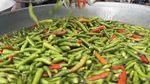 Ayam Penyet Cabe Ijo Go International, Jadi Street Food Populer Bangkok