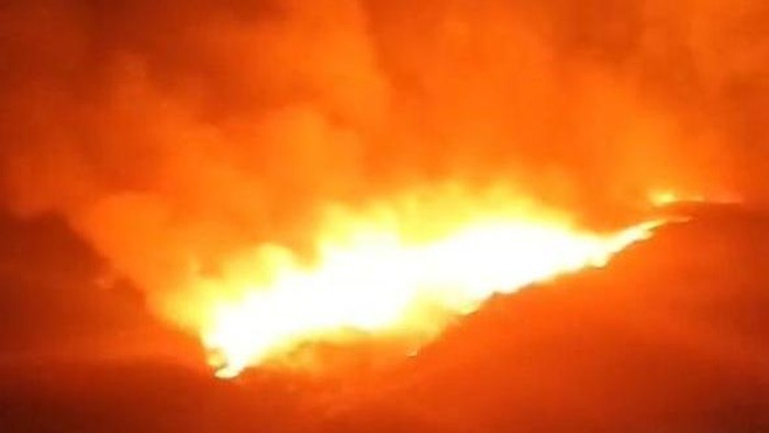 Bukit Teletubbies Gunung Bromo terbakar.