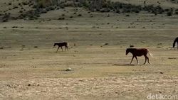Video: Jalan-jalan Virtual ke Kazakhstan