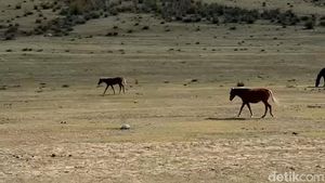 Video: Jalan-jalan Virtual ke Kazakhstan