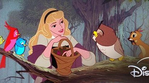 Disney Princess Disney Princess