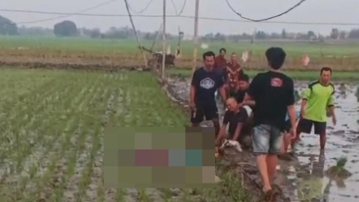 Ibu dan anak tewas tersengat jebakan listrik di Bojonegoro