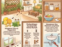 Infografik: Cara Ampuh Mengusir Semut dalam Rumah Secara Alami