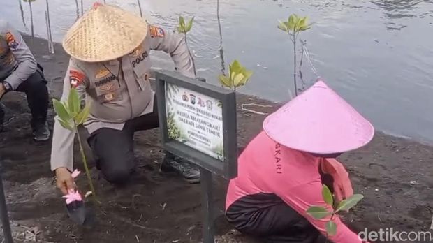 Kapolda Jatim Irjen Nanang Avianto bersama ketua Bhayangkari Jatim Dewi Nanang Avianto menanam cemara udang di pesisir Pulau Santen, Banyuwangi.