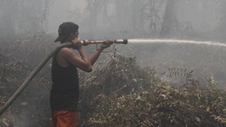 Kemenkes Ungkap Korban Karhutla di 6 Provinsi: 4 Meninggal, 347 Luka-luka