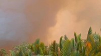 Kalteng Dikepung Asap, Muncul 968 Hotspot-14 Penerbangan Terganggu