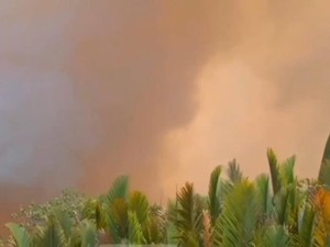 Kalteng Dikepung Asap, Muncul 968 Hotspot-14 Penerbangan Terganggu
