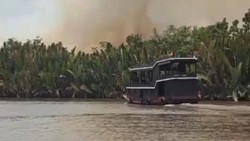 3.105 Ha TN Tanjung Puting Terbakar, Habitat Orang Utan Masih Terancam