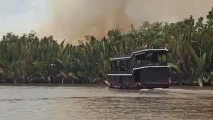 Karhutla mengancam habitat orang utan di TN Tanjung Puting Kalteng. (dok Balai TNTP)