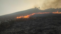 Video Kebakaran Kembali Melanda Kawasan TNBTS Bromo, Dekat Bukit Teletubbies!