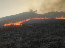 Sabana Dekat Bukit Teletubbies Kebakaran, Akses Bromo Via Jemplang Ditutup