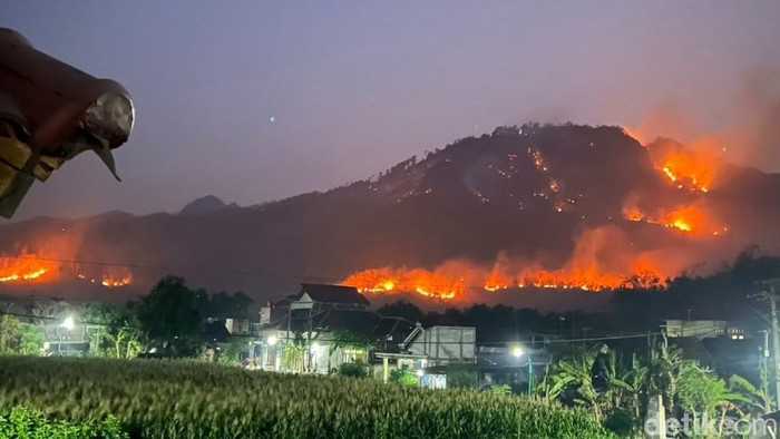 Kebakaran hutan dan lahan di Gunung Prongos, Ponorogo.