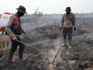 Cairan X-Fire Efektif Padamkan Karhutla Riau: Api dan Asap Tak Muncul Lagi