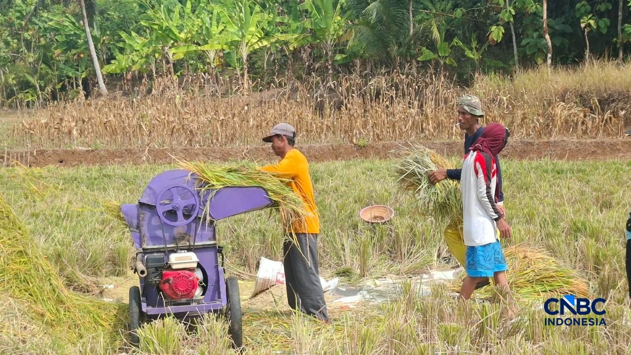 Sejumlah warga membeli kebutuhan di Koperasi Desa/Kelurahan Merah Putih (KDMP) di Kecamatan Susukan, Banjarnegara, Jawa Tengah, Kamis (20/8/2026). (CNBC Indonesia/Chandra Dwi Pranata)
